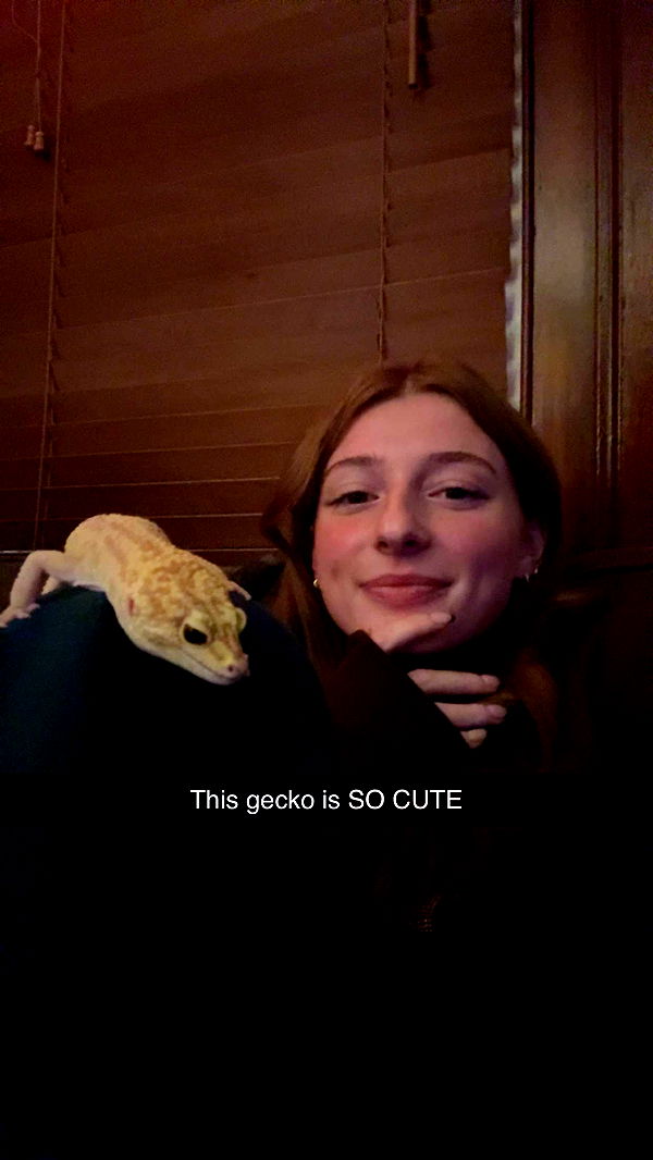 carmmieecat image ~ Altpins