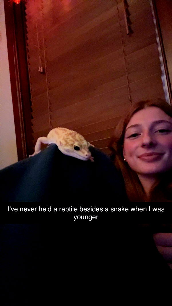 carmmieecat image ~ Altpins