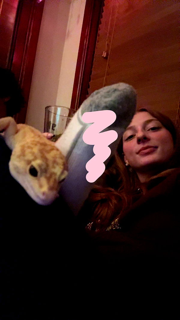 carmmieecat image ~ Altpins