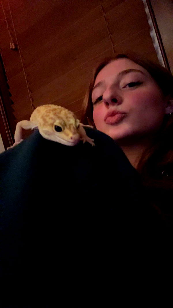 carmmieecat image ~ Altpins