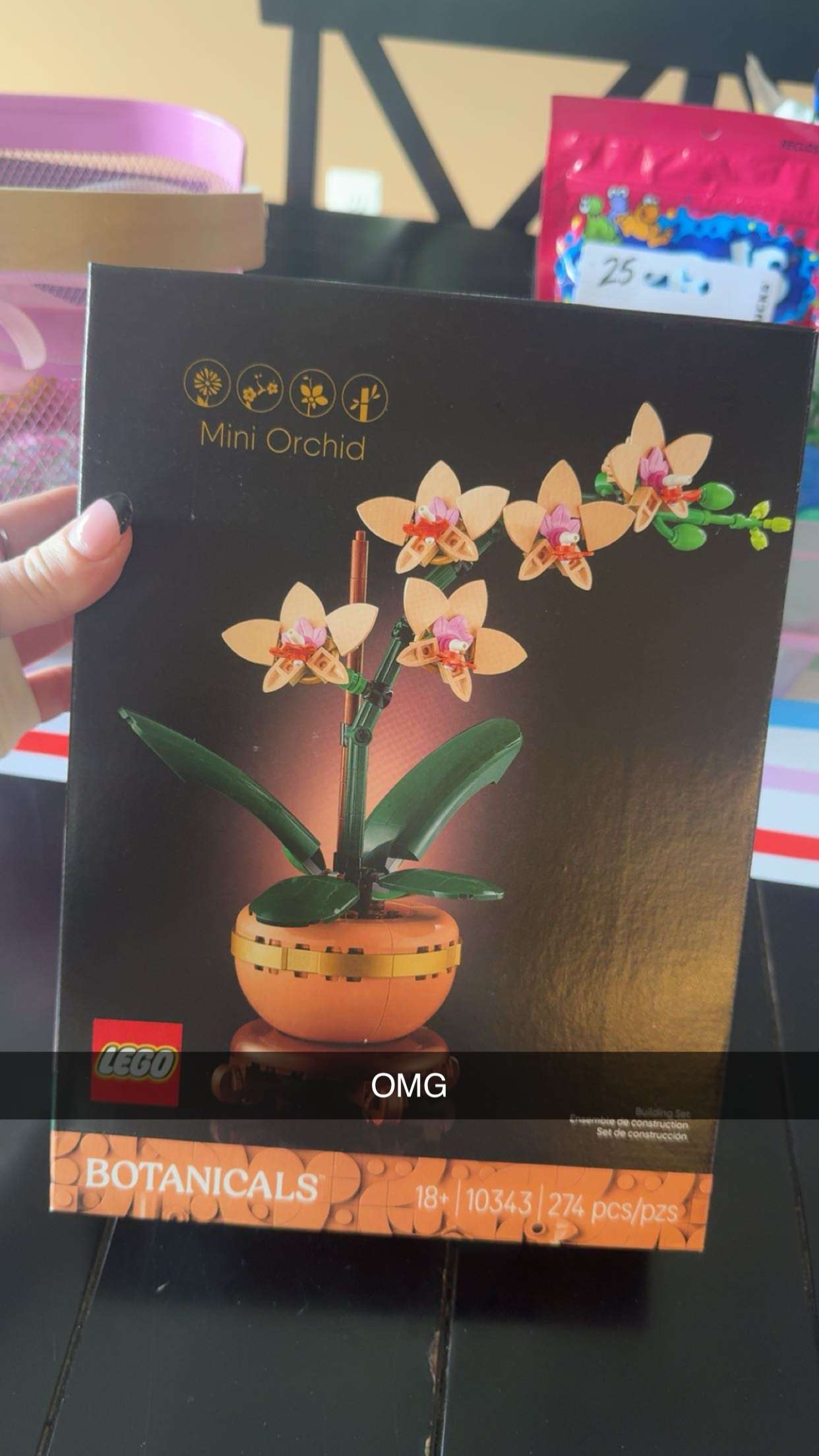 carmmieecat snapchat image archive image