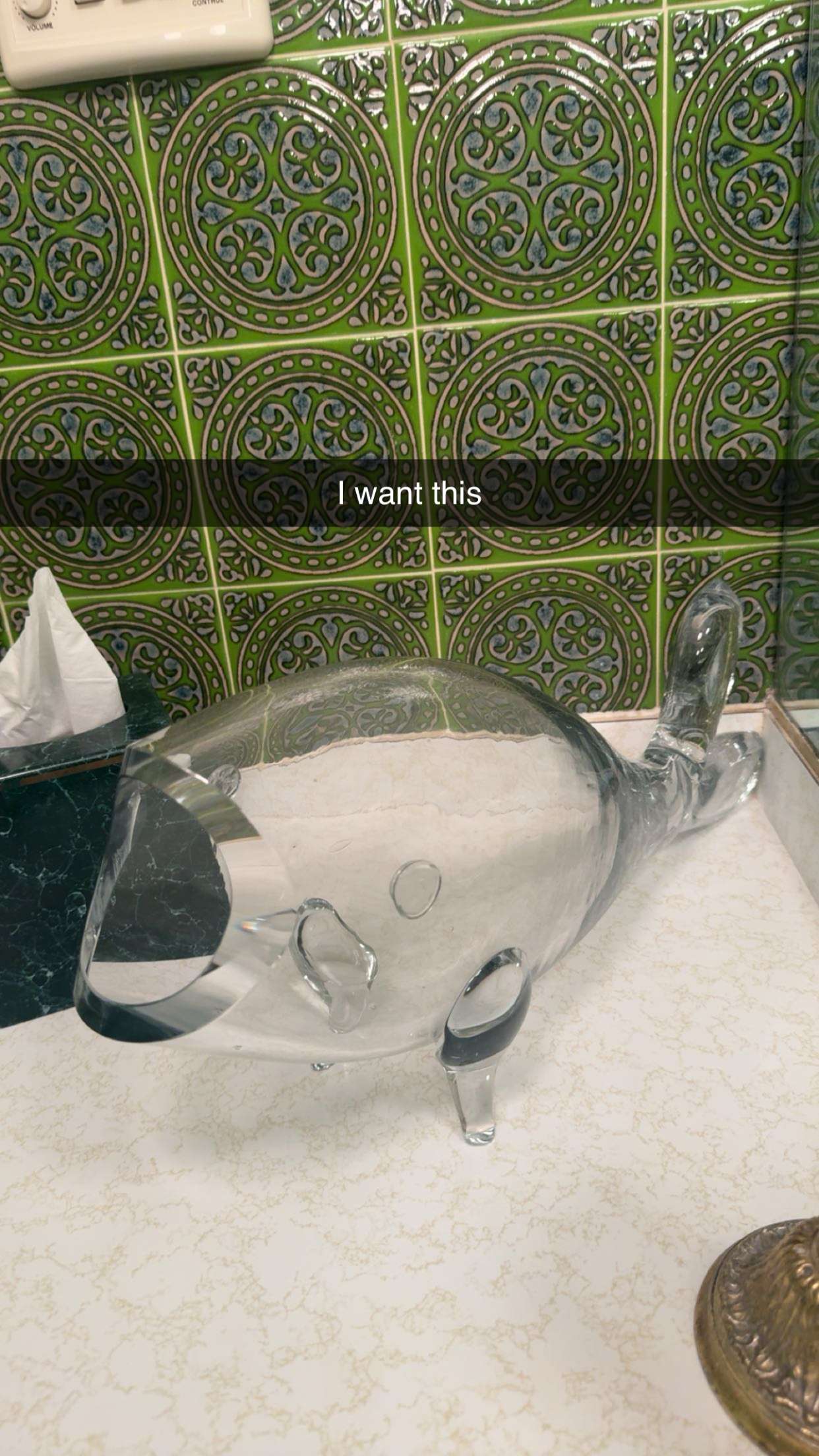 carmmieecat snapchat image archive image