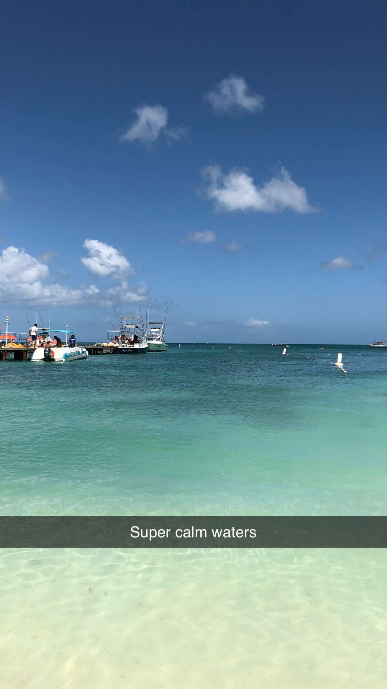 carmmieecat snapchat image archive image