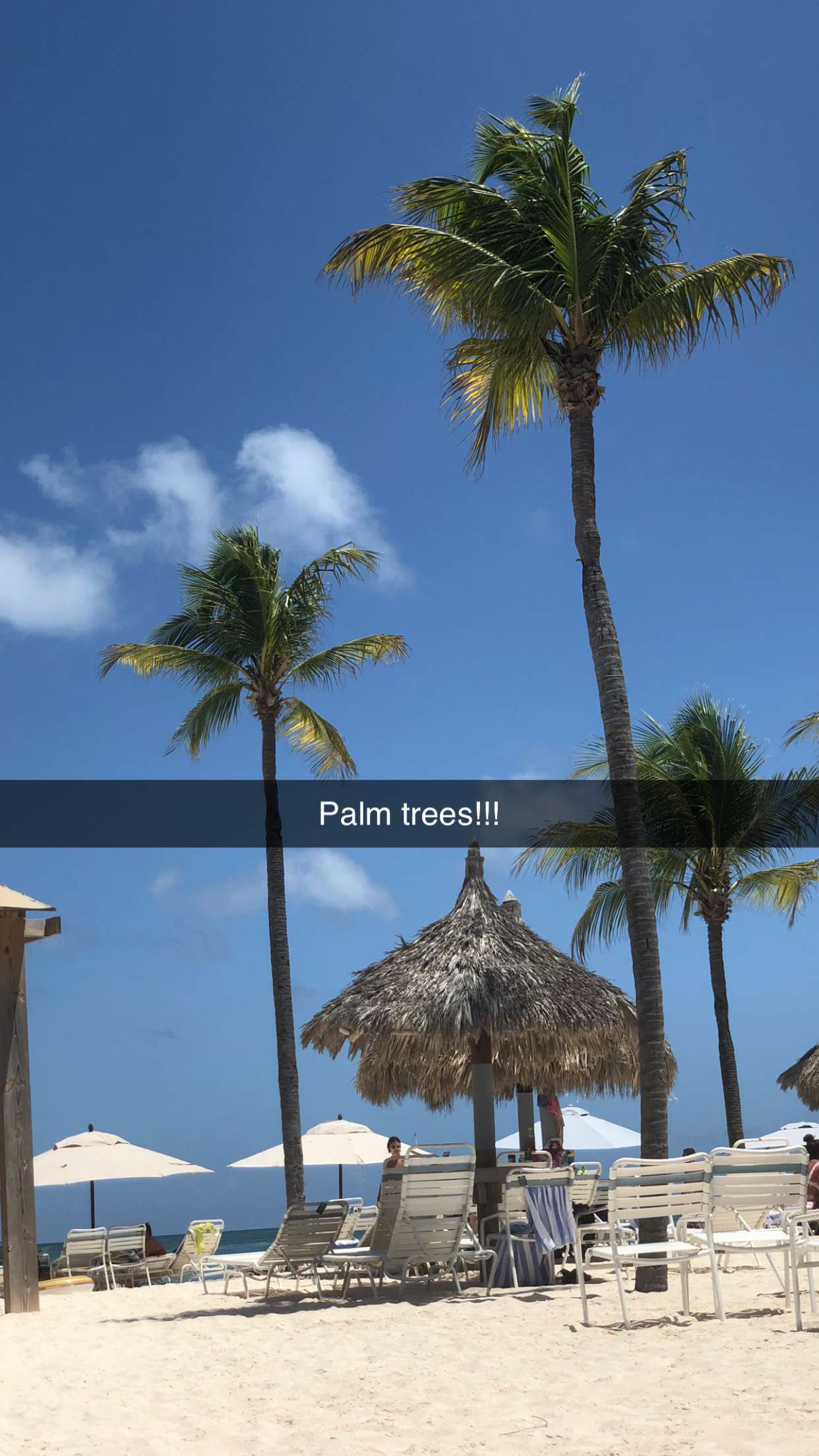 carmmieecat snapchat image archive image