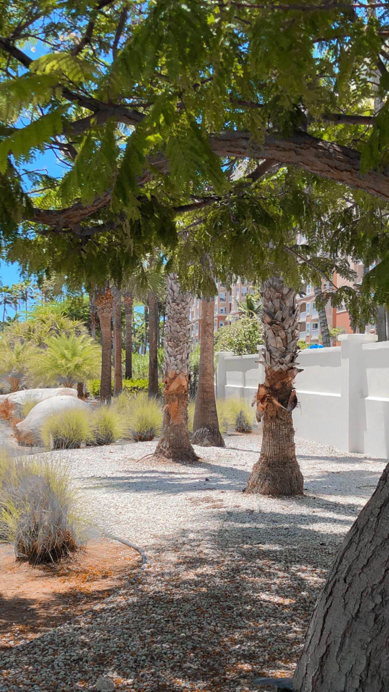 carmmieecat snapchat image archive image