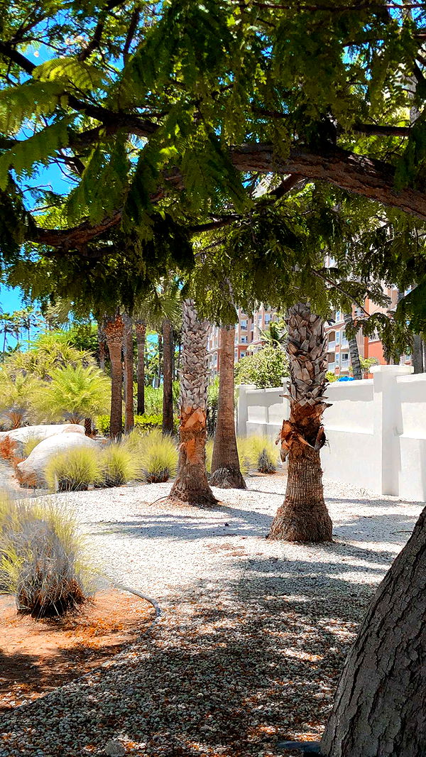 carmmieecat image ~ Altpins