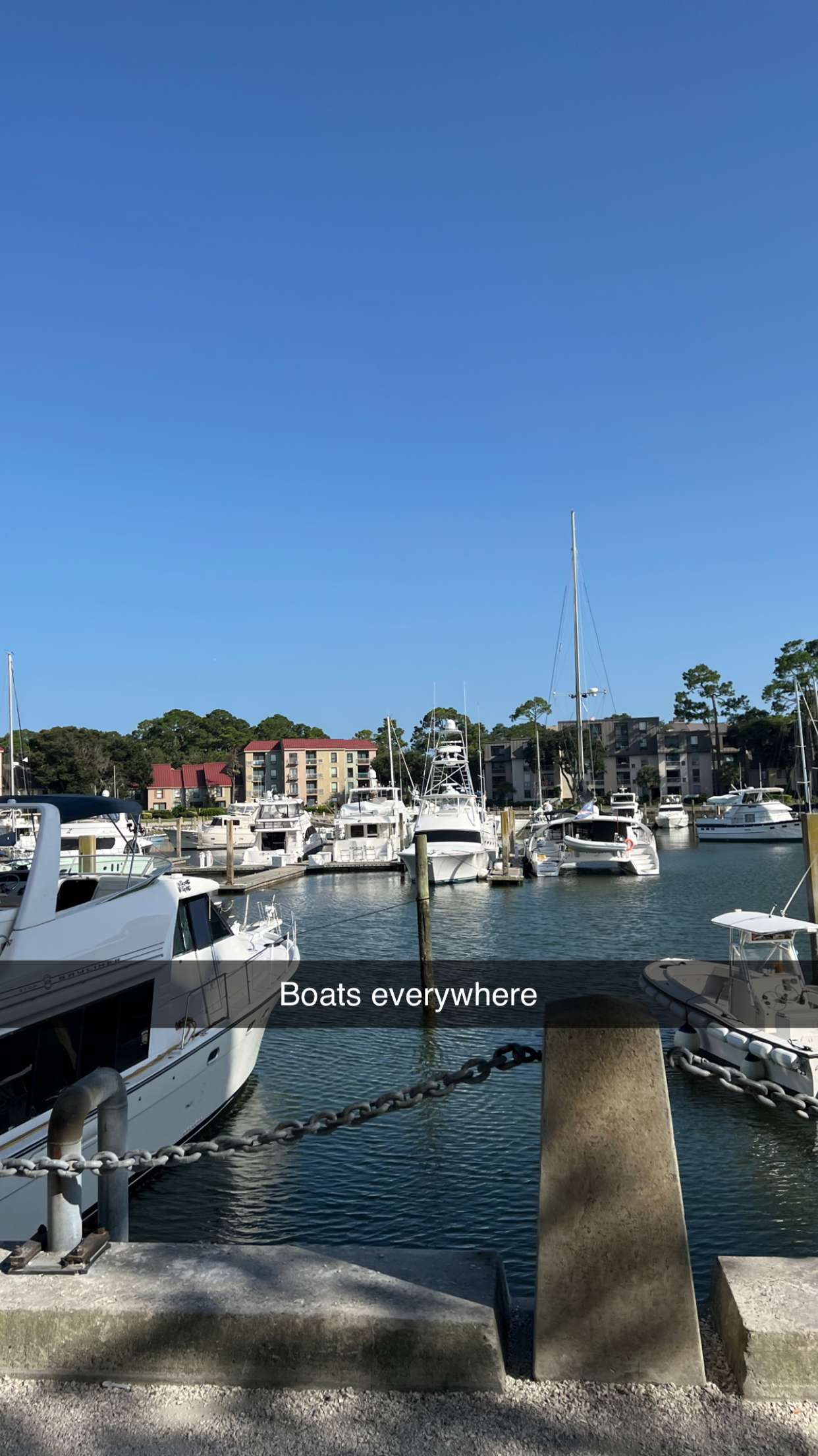 carmmieecat snapchat image archive image