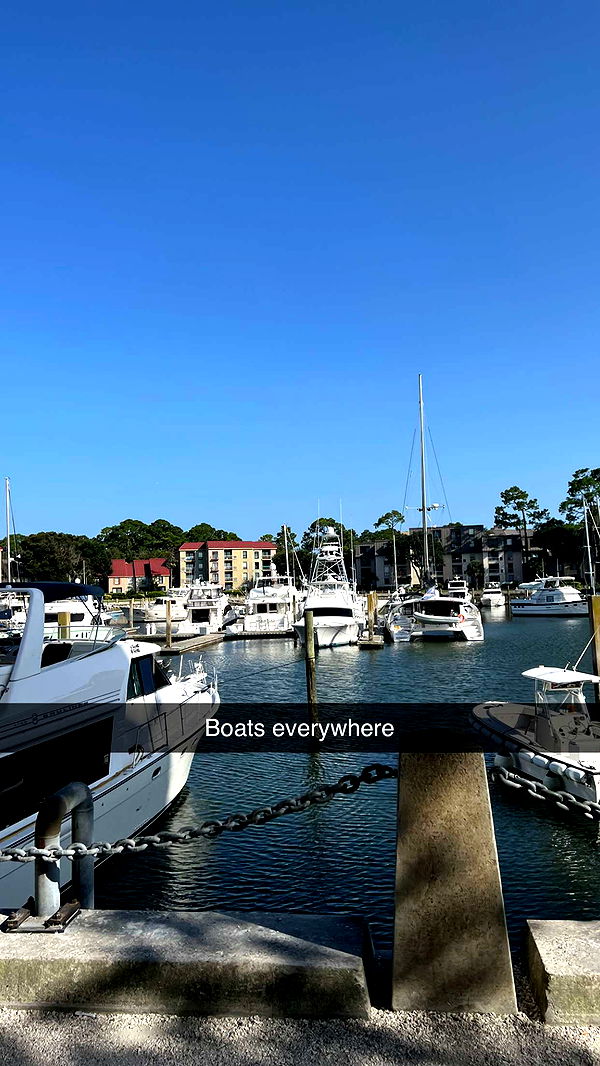 carmmieecat image ~ Altpins