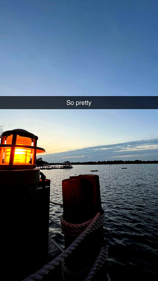 carmmieecat image ~ Altpins