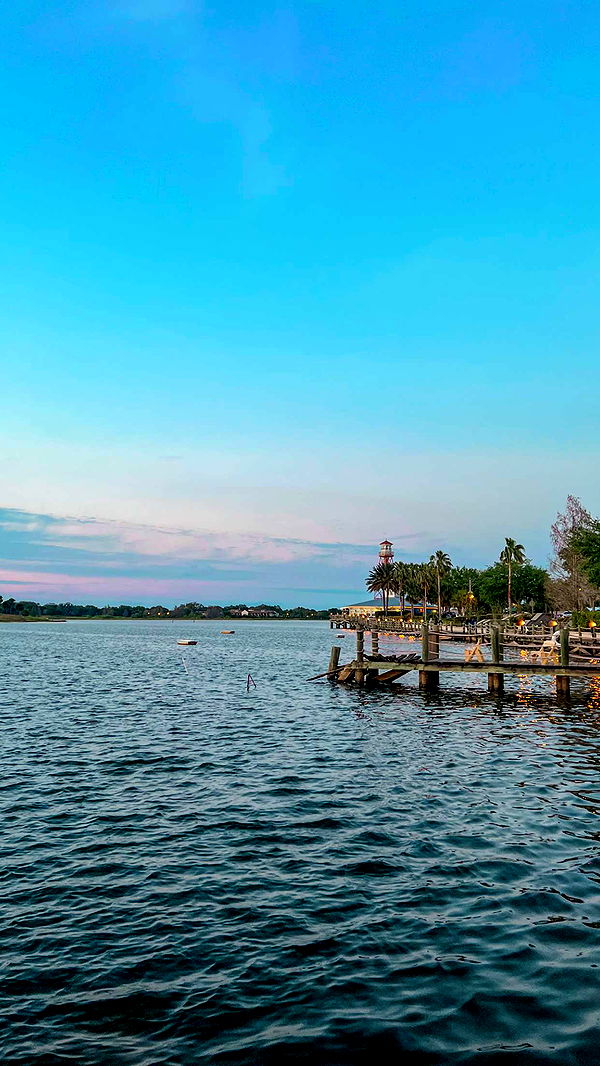 carmmieecat image ~ Altpins