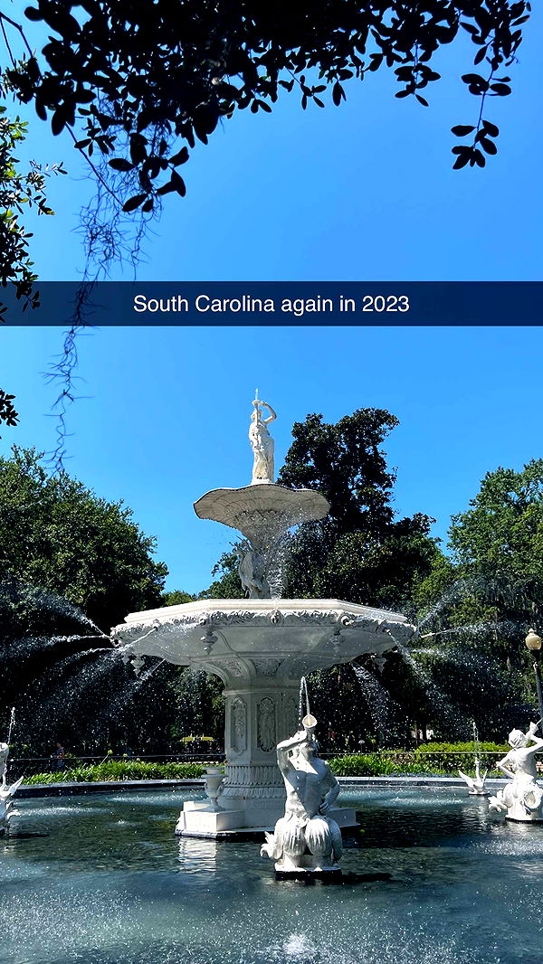 carmmieecat image ~ Altpins