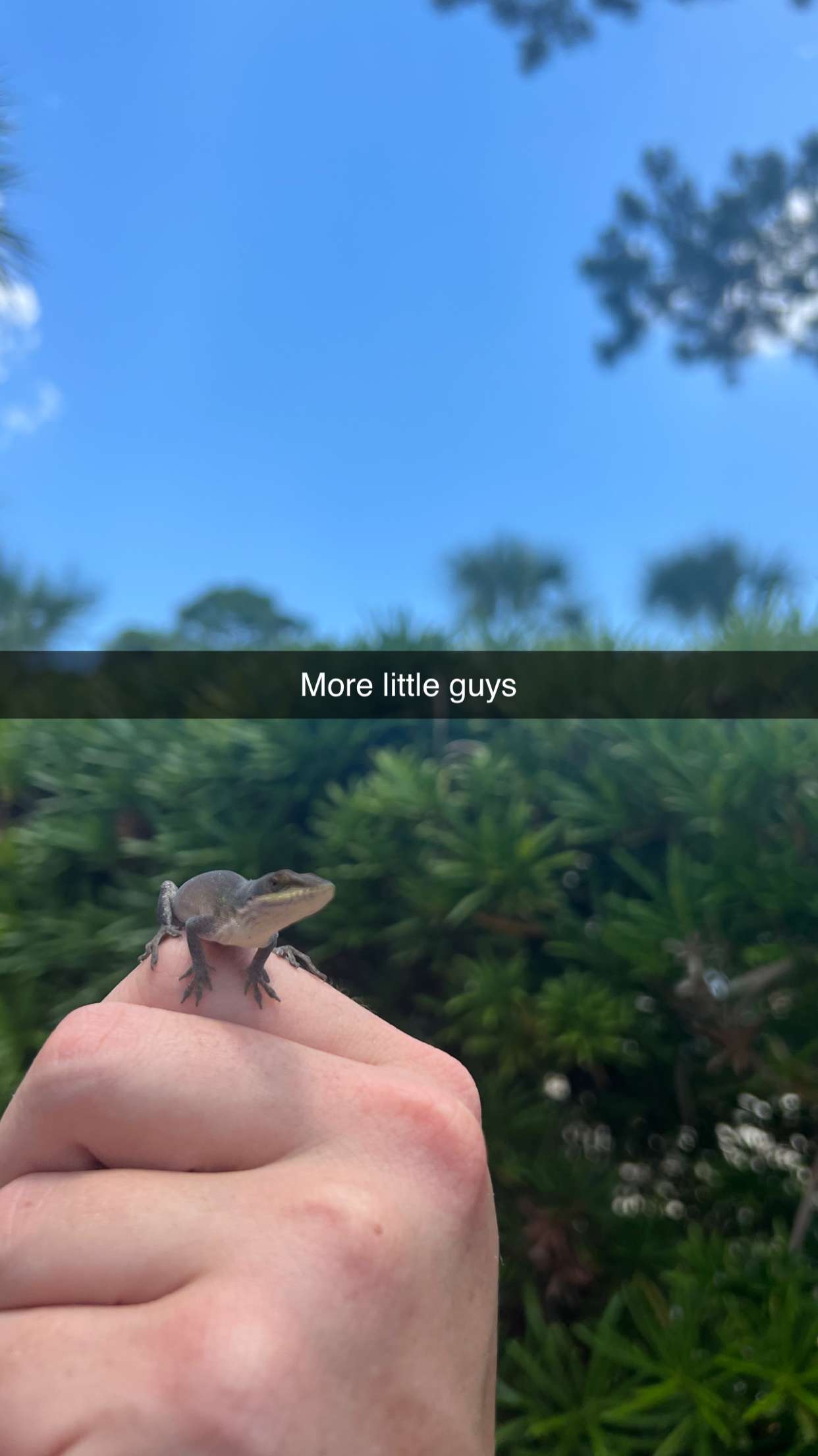 carmmieecat snapchat image archive image