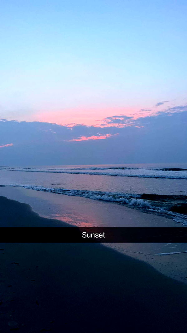 carmmieecat image ~ Altpins