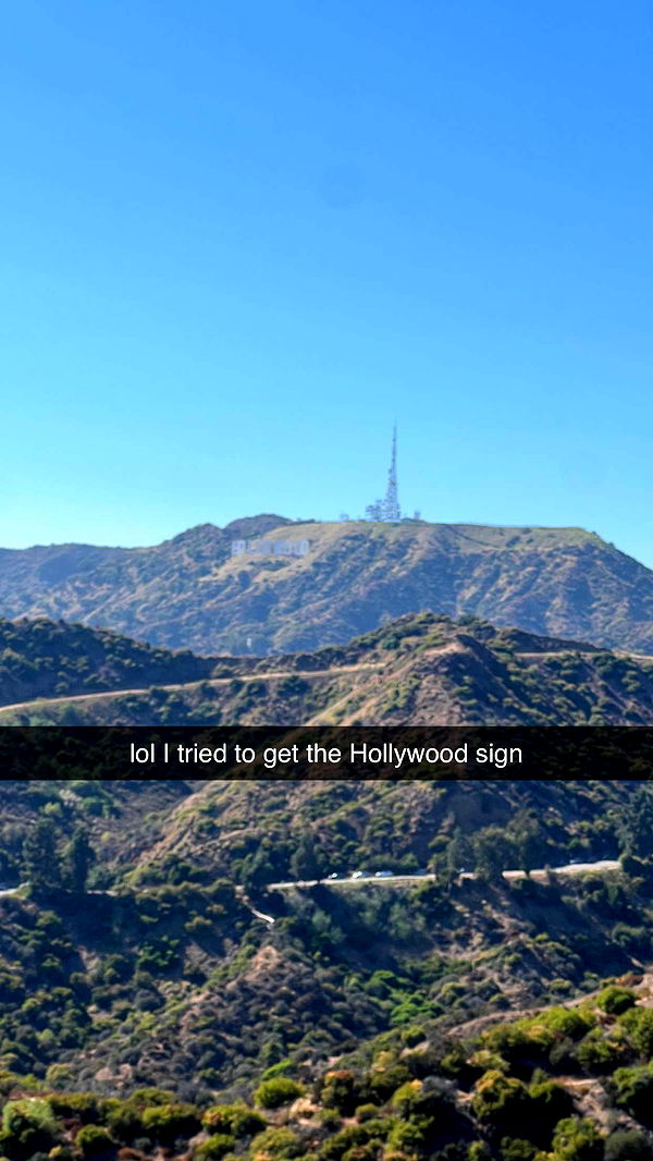 carmmieecat image ~ Altpins