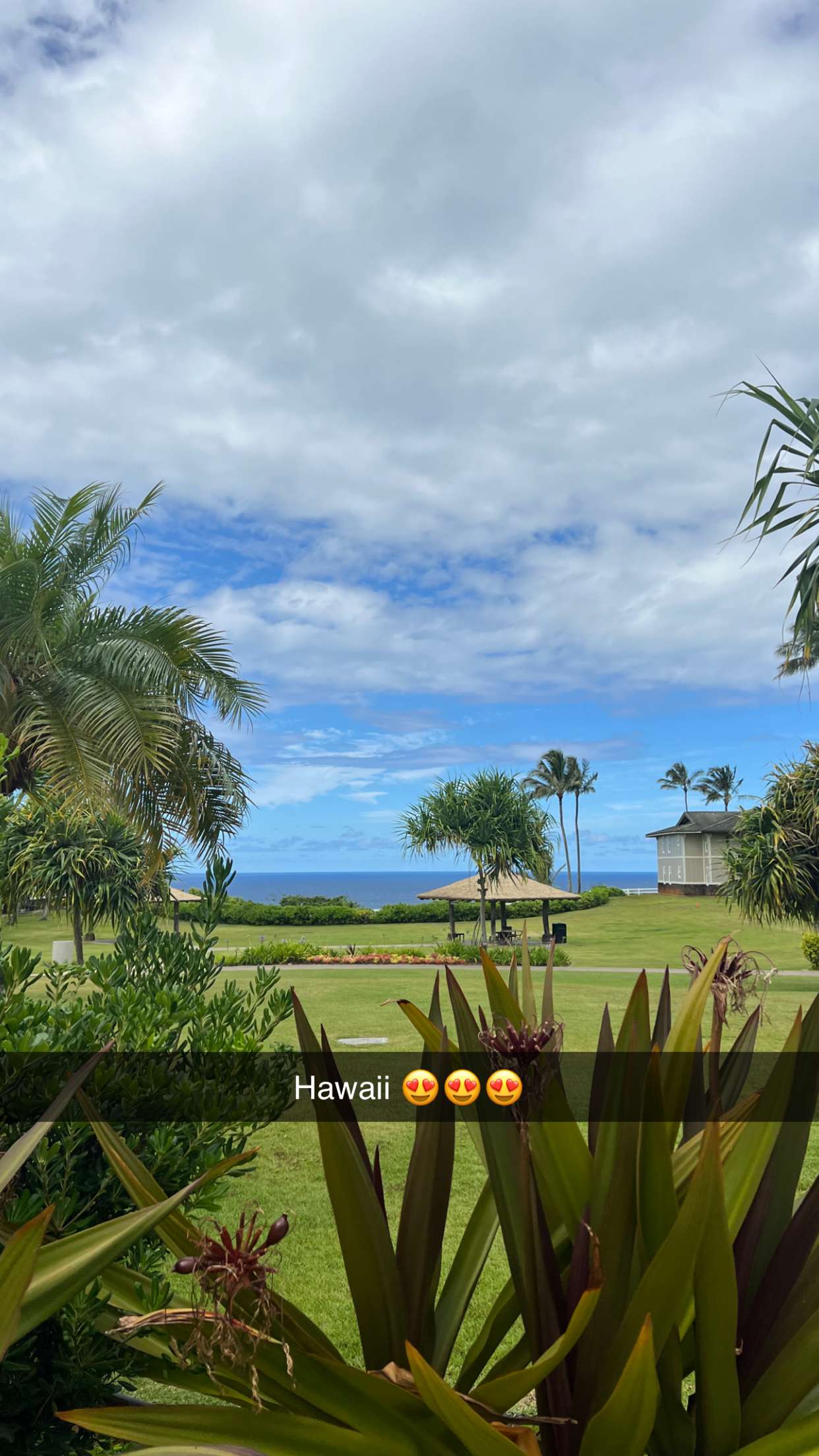 carmmieecat snapchat image archive image