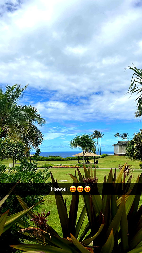 carmmieecat image ~ Altpins