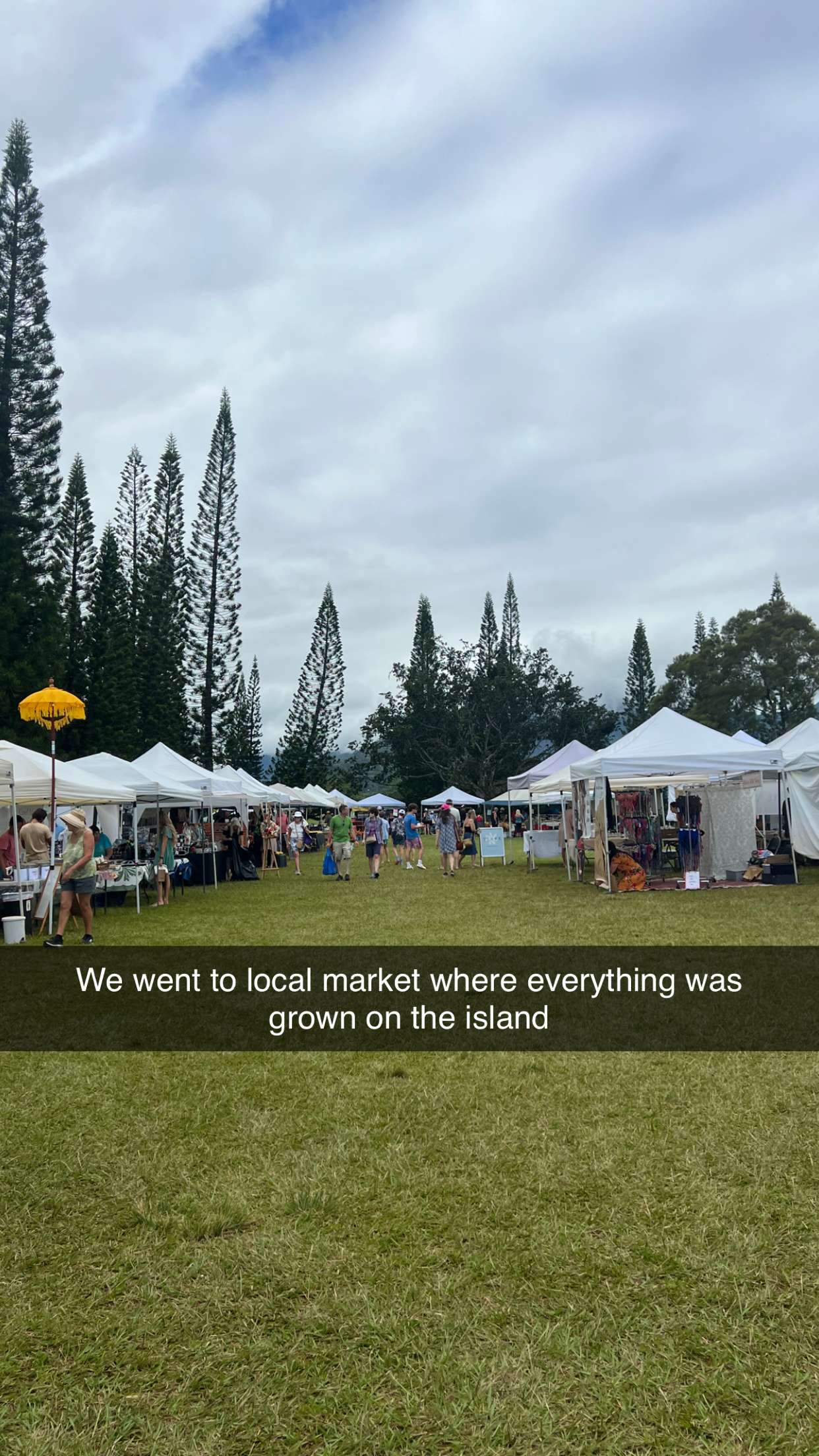 carmmieecat snapchat image archive image