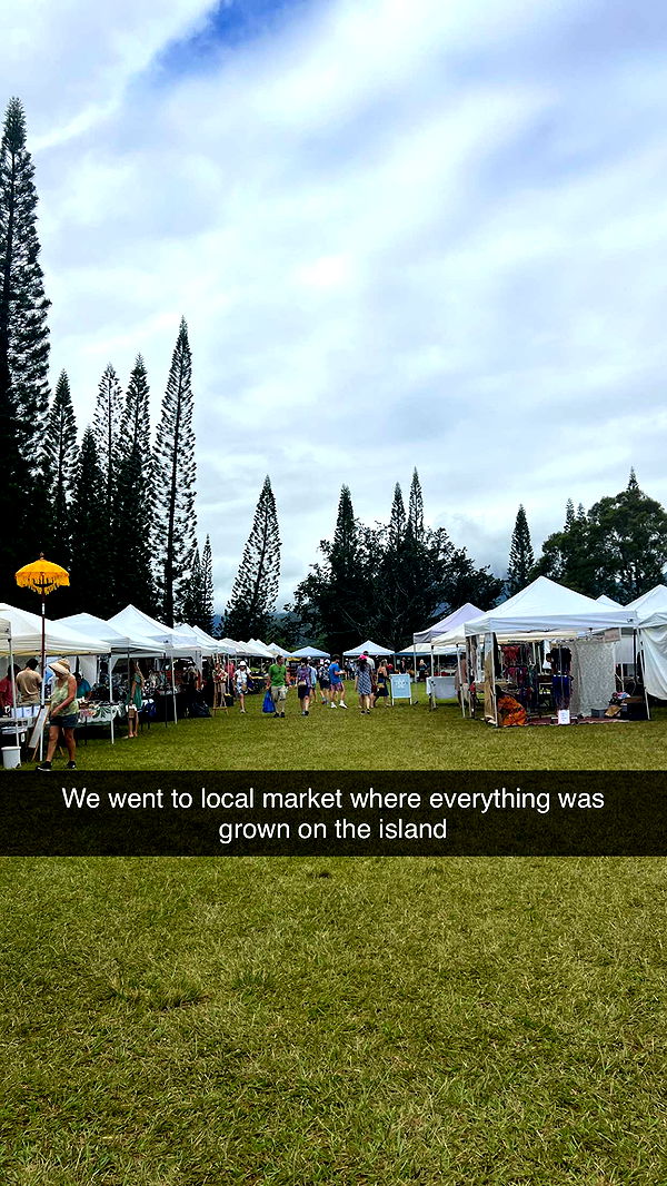 carmmieecat image ~ Altpins