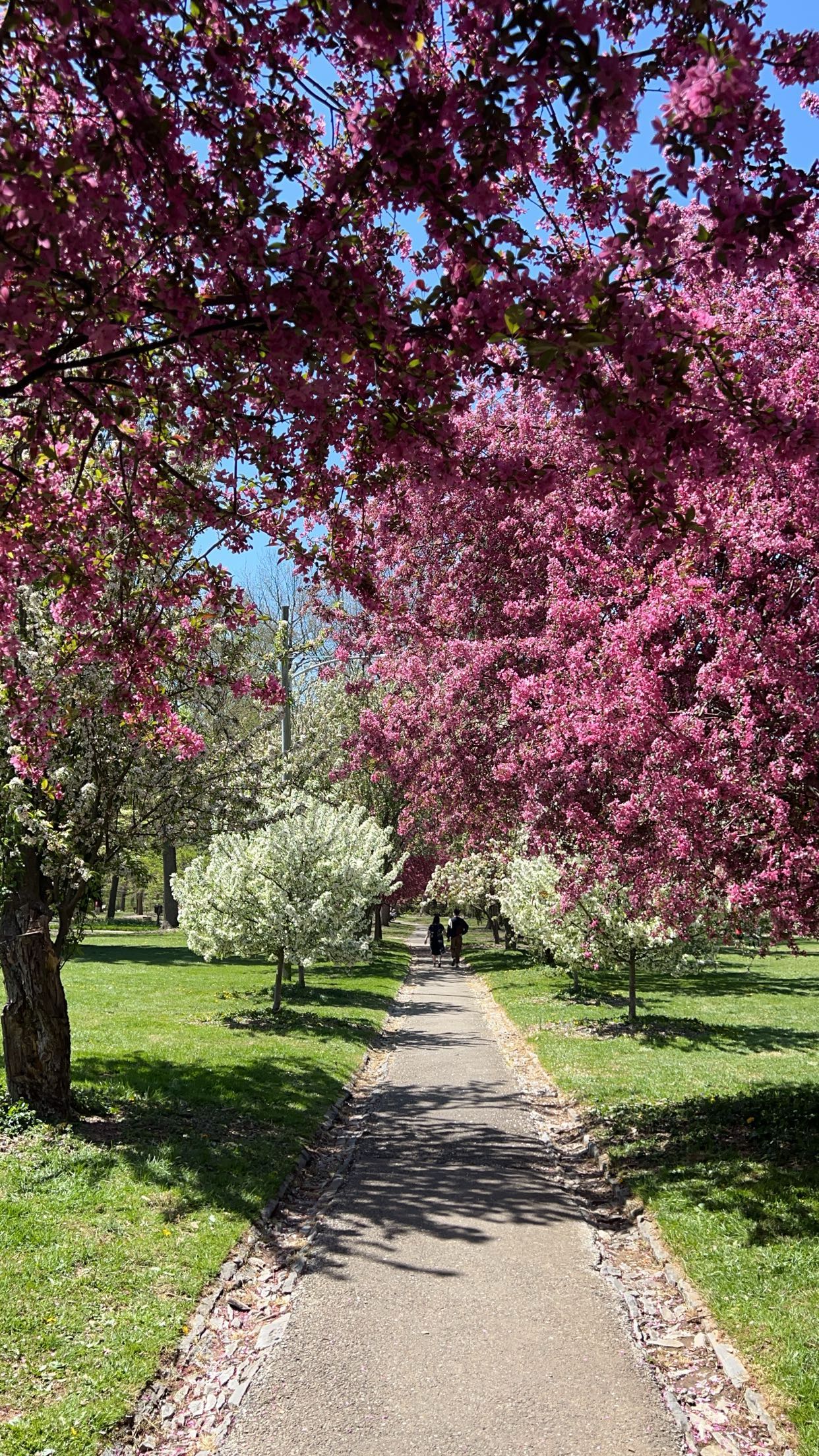 carmmieecat snapchat image archive image