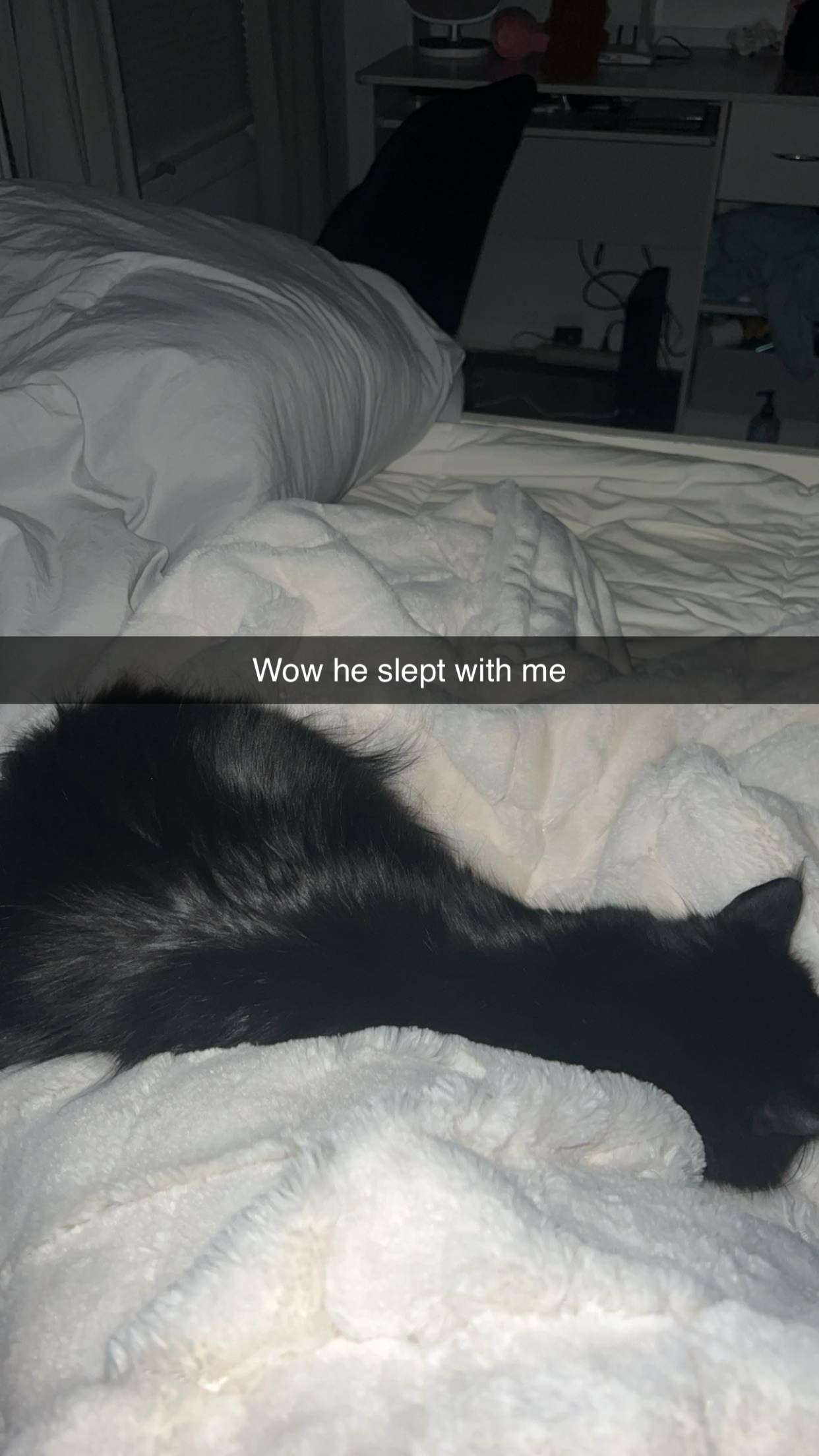 carmmieecat snapchat image archive image