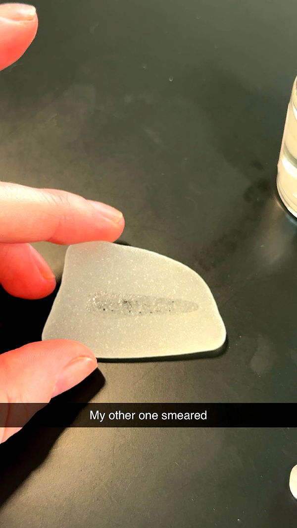 carmmieecat image ~ Altpins