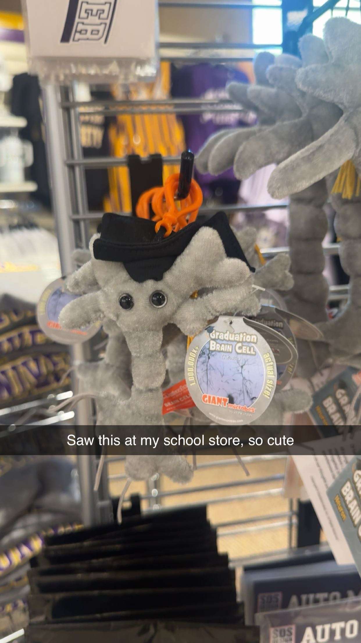 carmmieecat snapchat image archive image