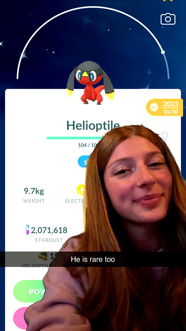 carmmieecat image ~ Altpins