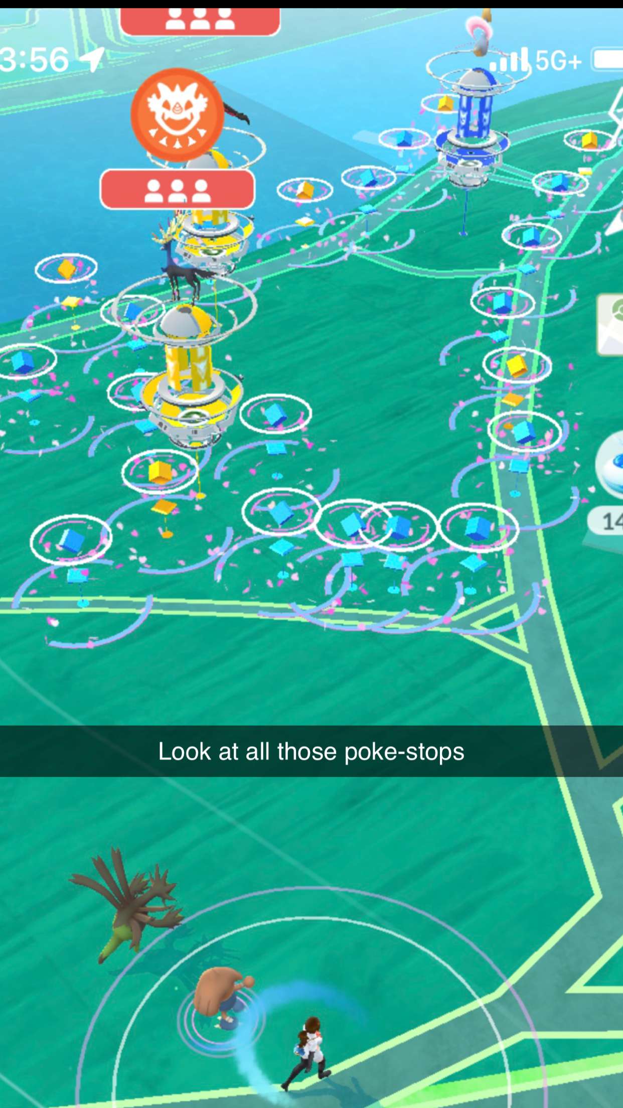 carmmieecat snapchat image archive image