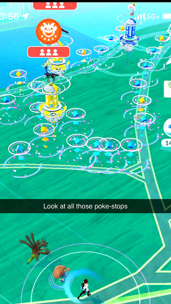 carmmieecat image ~ Altpins