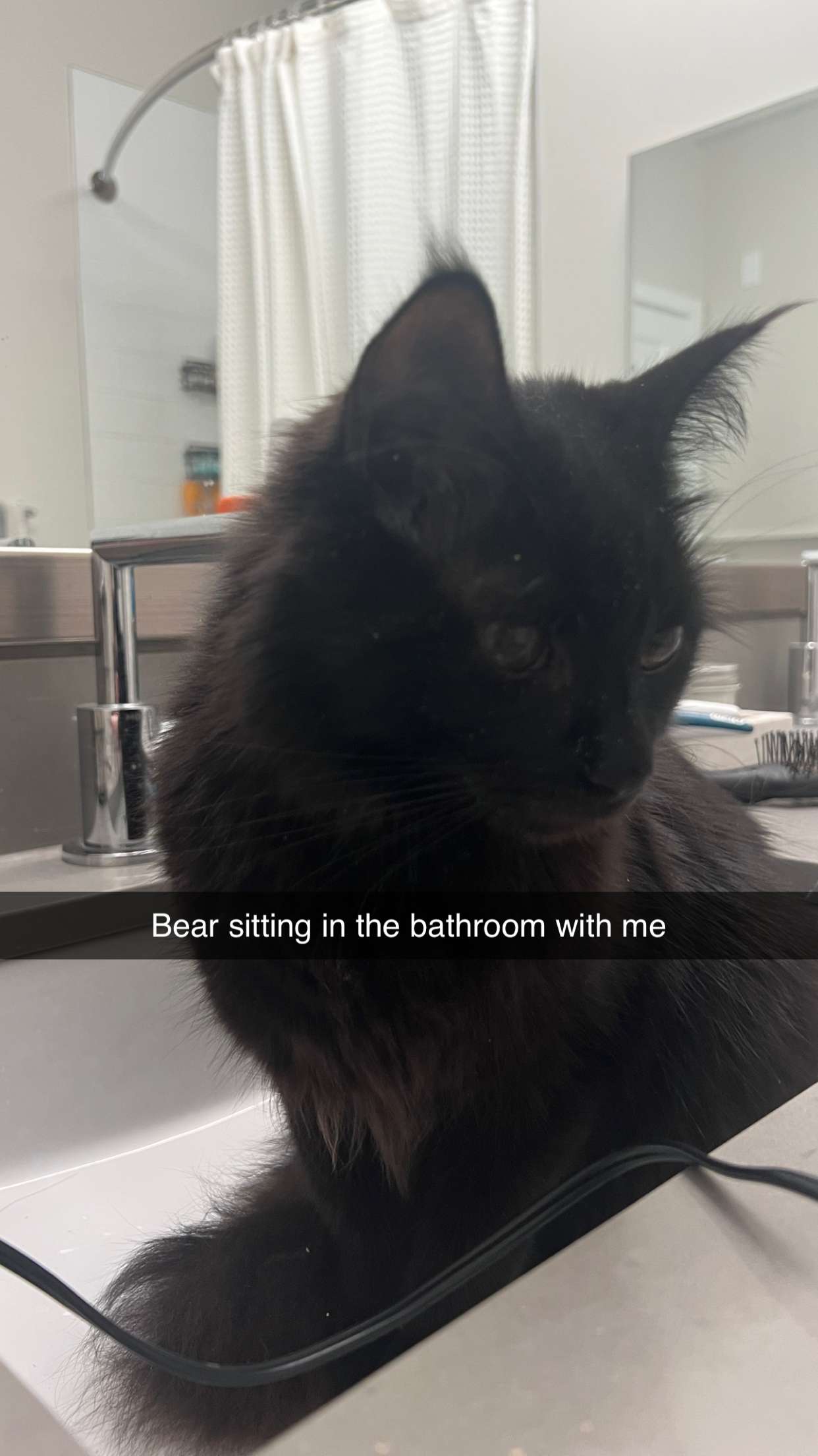 carmmieecat snapchat image archive image