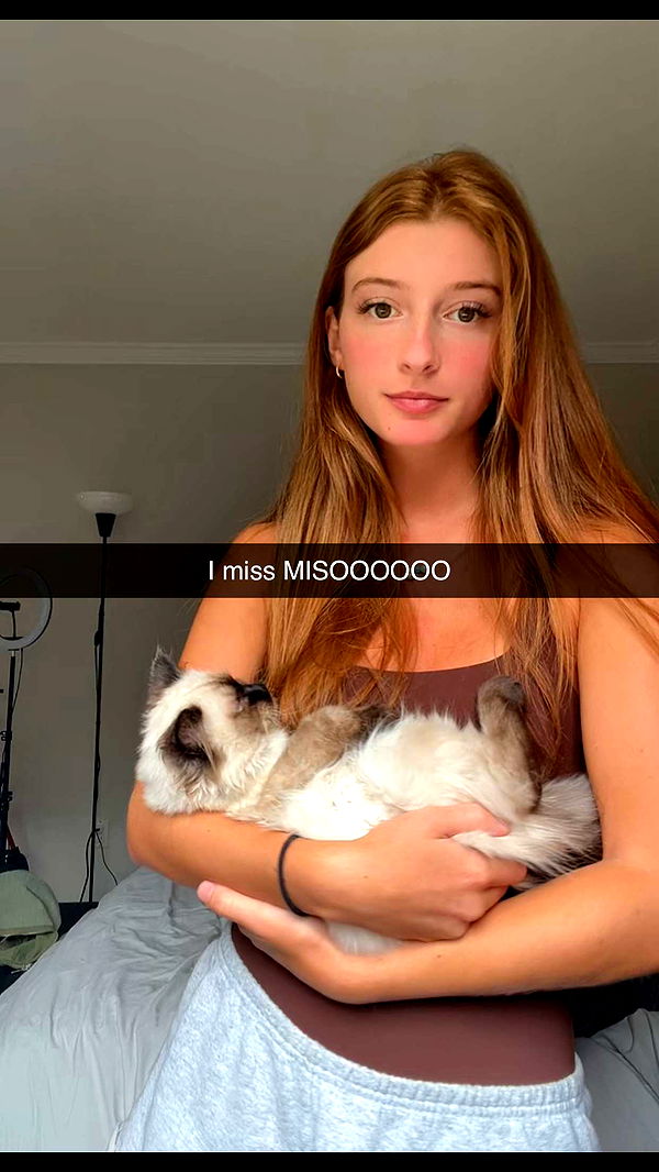 carmmieecat image ~ Altpins