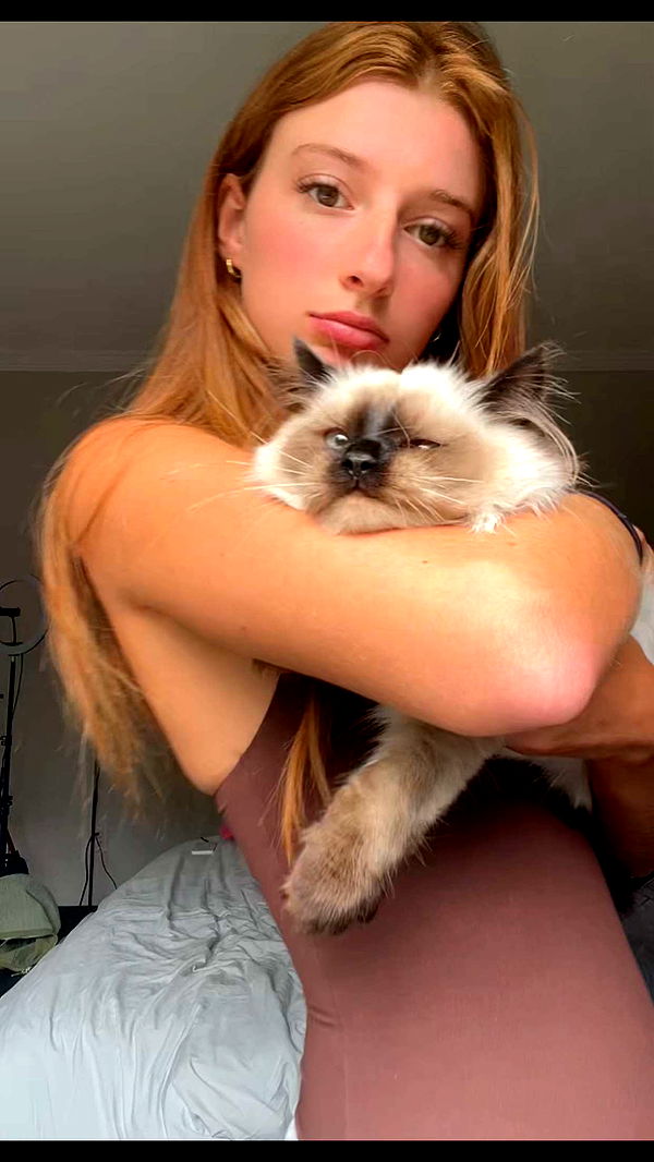 carmmieecat image ~ Altpins