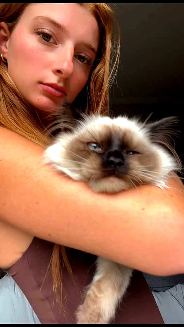 carmmieecat image ~ Altpins