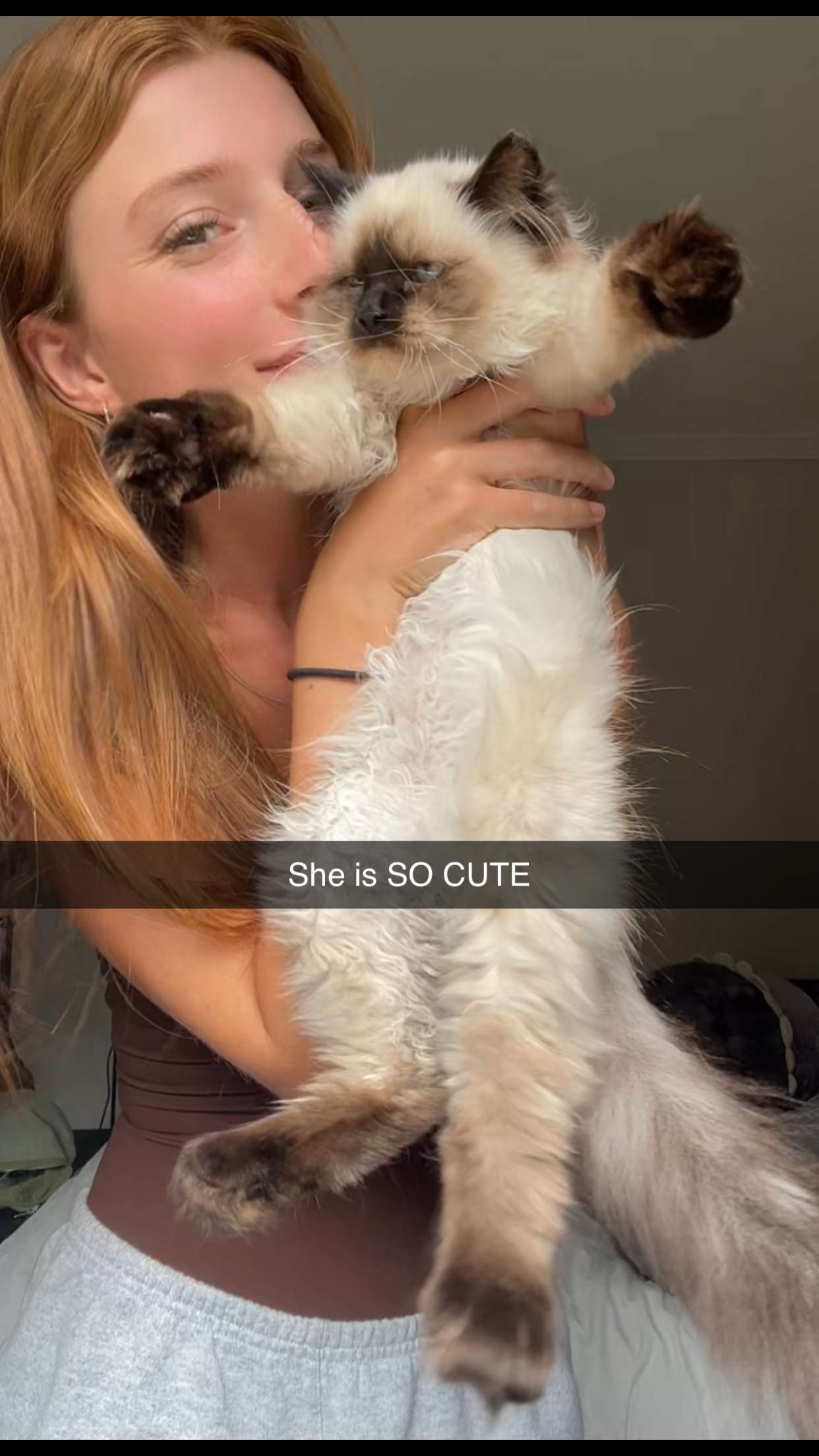 carmmieecat snapchat image archive image