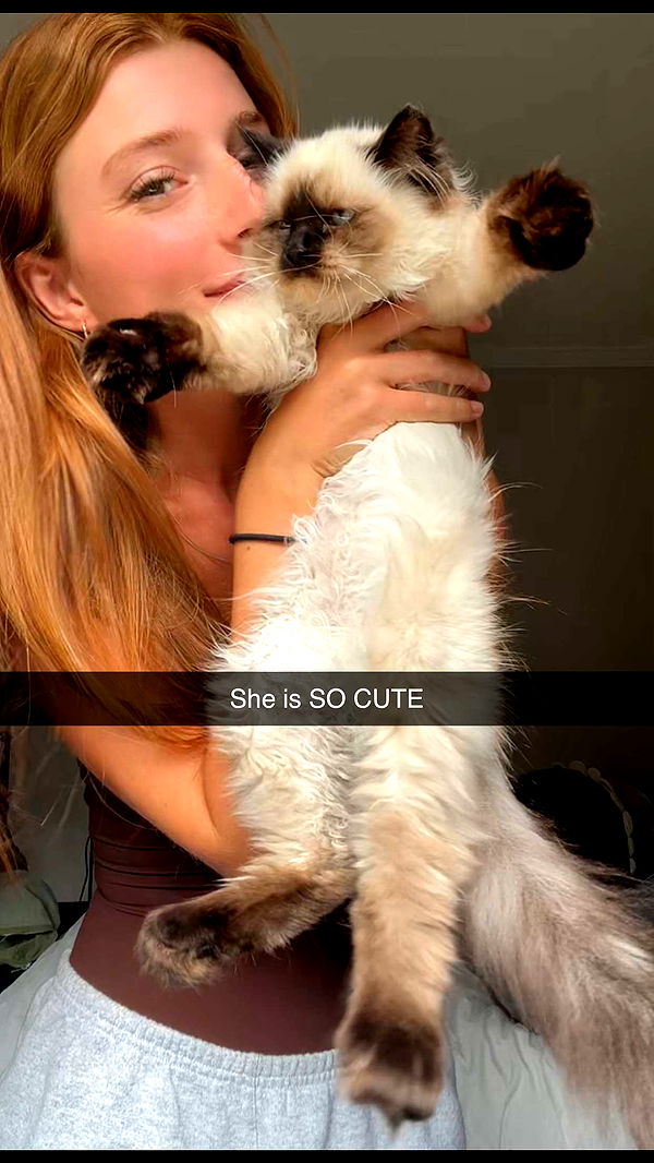 carmmieecat image ~ Altpins