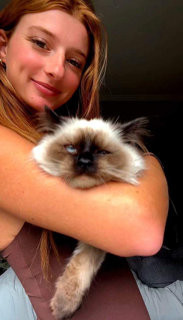 carmmieecat image ~ Altpins