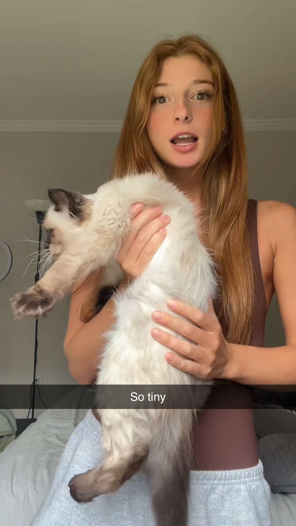 carmmieecat snapchat image archive image