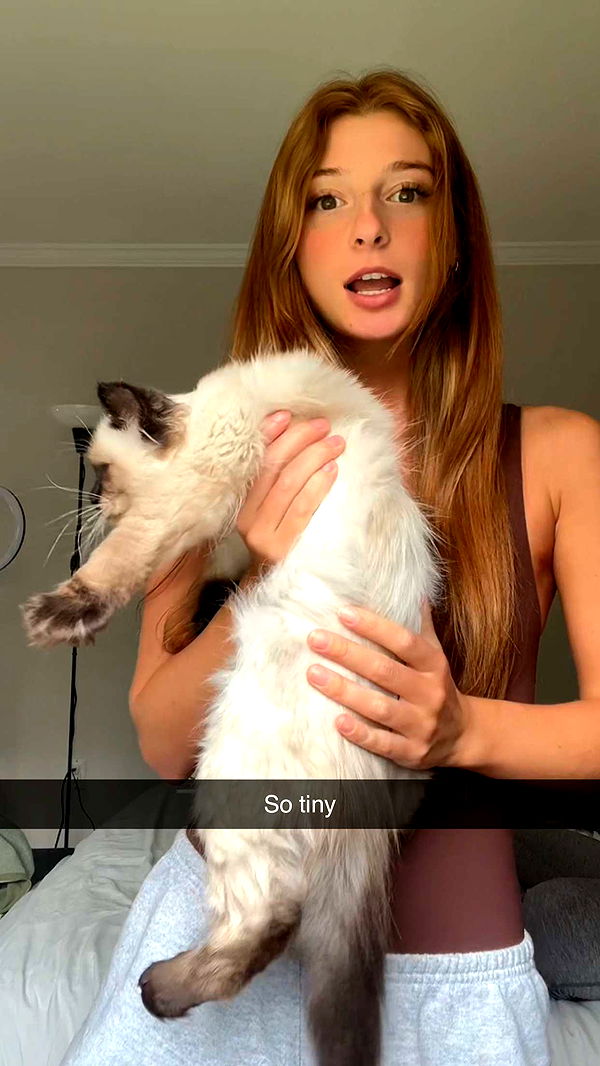 carmmieecat image ~ Altpins