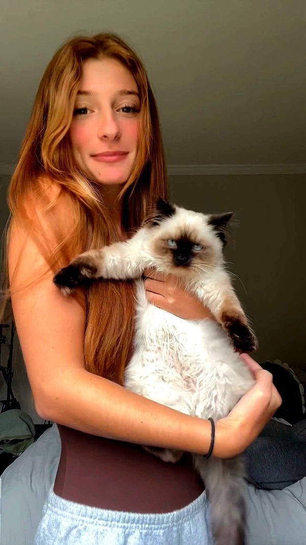 carmmieecat image ~ Altpins