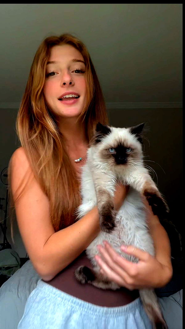 carmmieecat image ~ Altpins