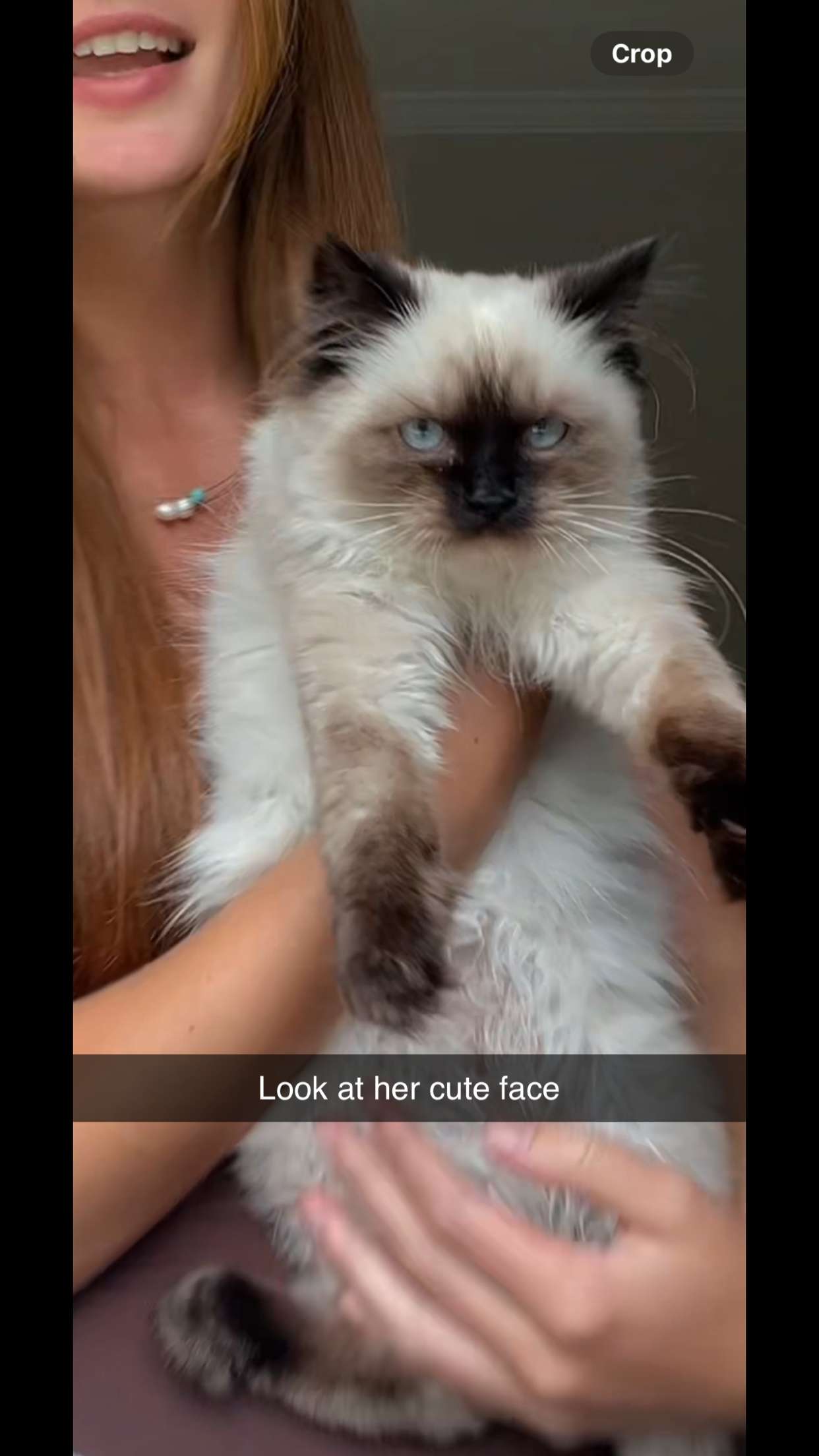 carmmieecat snapchat image archive image