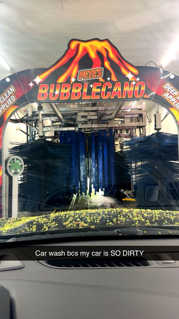 carmmieecat image ~ Altpins