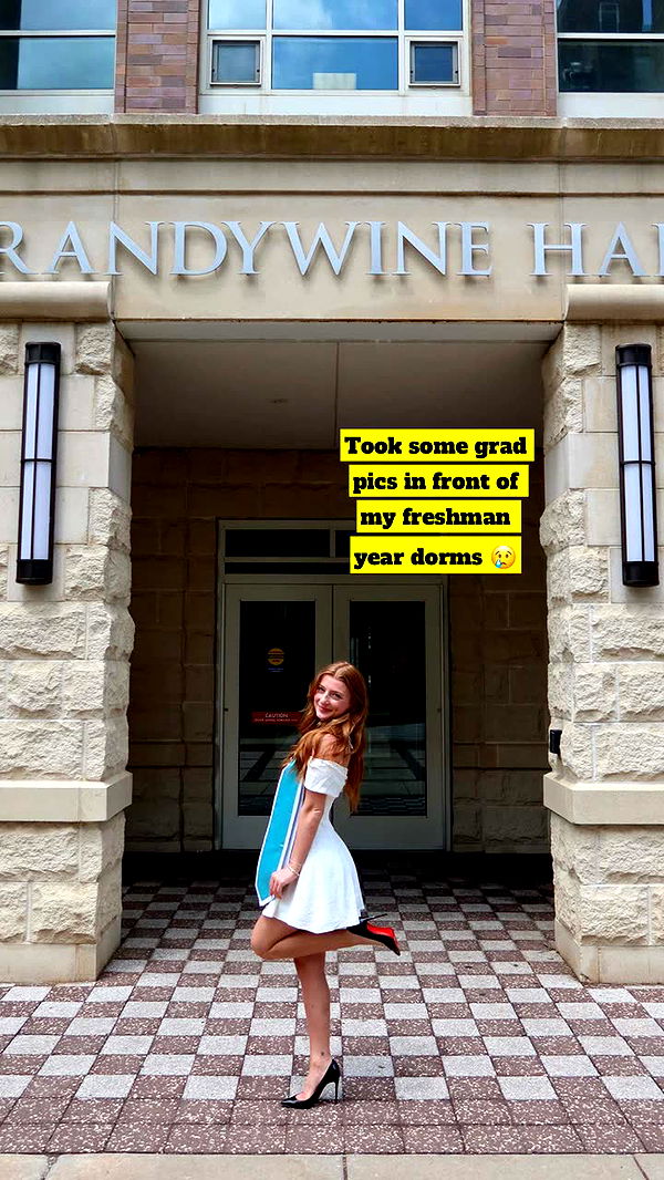 carmmieecat image ~ Altpins