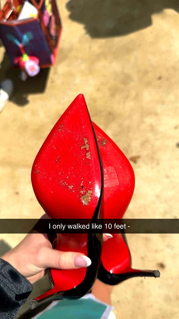 carmmieecat image ~ Altpins