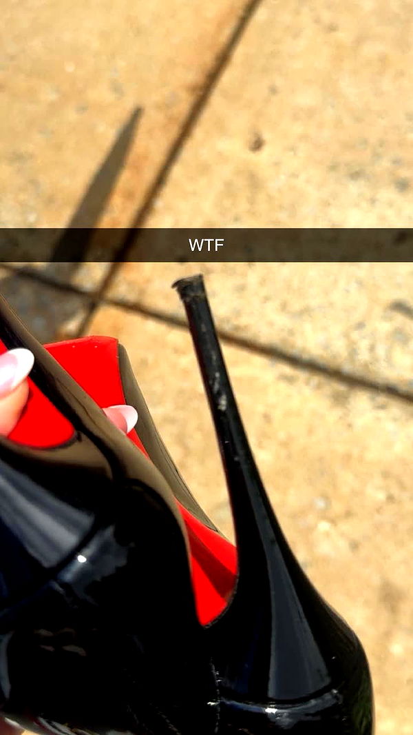 carmmieecat image ~ Altpins