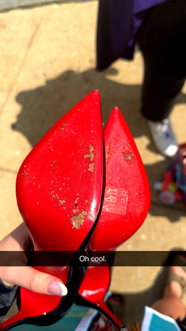 carmmieecat image ~ Altpins