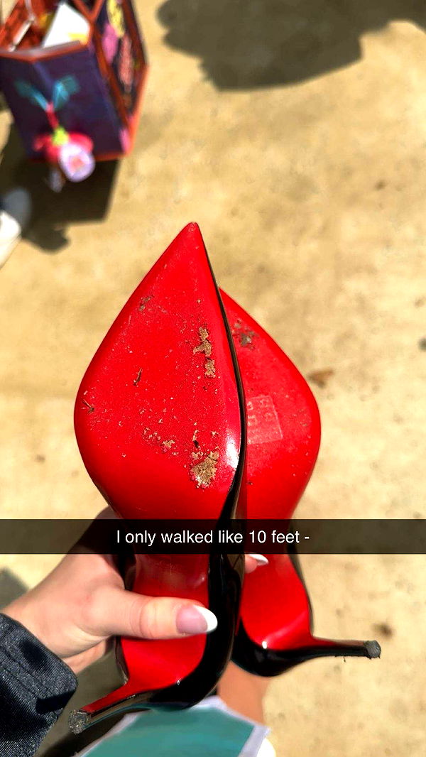 carmmieecat image ~ Altpins