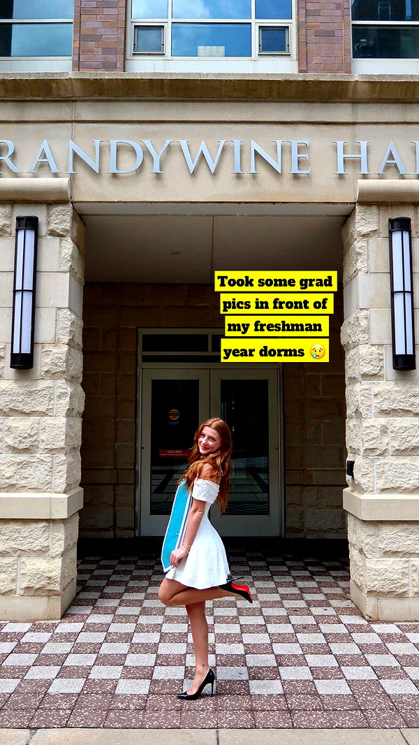 carmmieecat image ~ Altpins