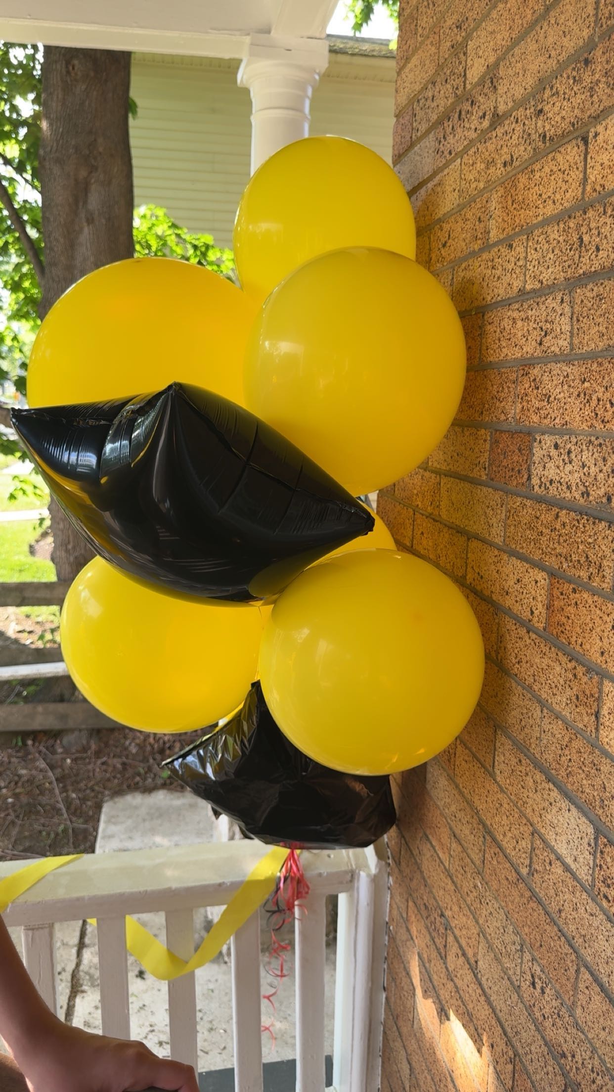 carmmieecat snapchat image archive image