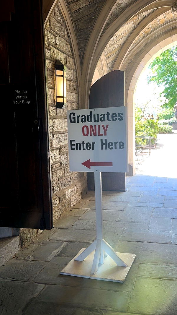 carmmieecat image ~ Altpins